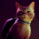 Cyberpunk cat journey Stray will get a gameplay trailer and July launch date