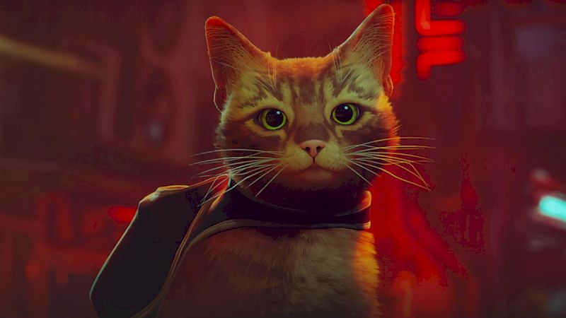 cat-adventure-game-stray-takes-top-steam-wishlist-spot,-gets-verified-steam-deck-compatibility