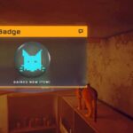 How to Find the Cat Badge in Stray