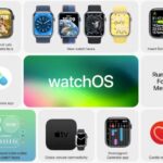 Apple Releases watchOS 9 and tvOS 16 Beta 7 to Developers – Download