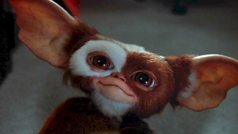 gremlins’-gizmo-is-headed-to-multiversus,-new-teaser-released