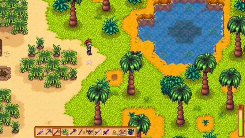 how-many-purple-flowers-and-starfish-are-on-ginger-island-in-stardew-valley?-ginger-island-quiz-guide