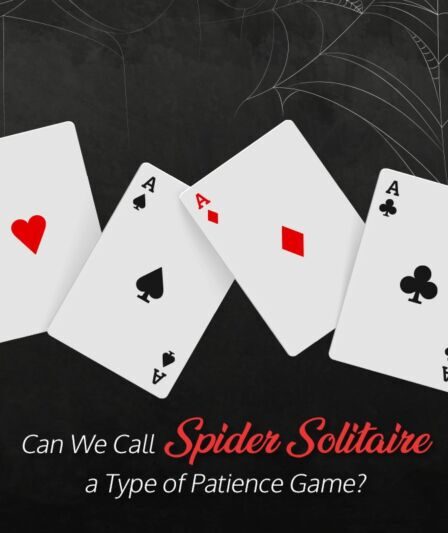 Can We Name Spider Solitaire a Sort of Persistence Game?