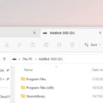 File Explorer tabs lastly come to Home windows 11
