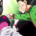 Hunter x Hunter Will get Cute Makeover With This Viral Cat Cosplay