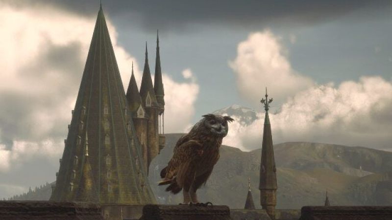 hogwarts-legacy-fwooper-dens-|-where-to-find