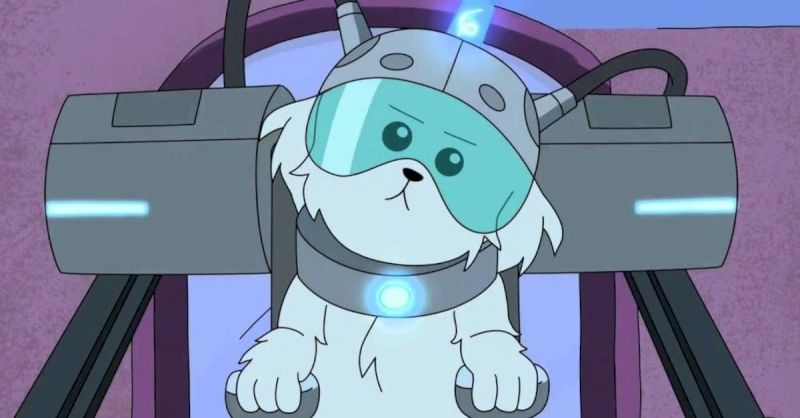 watching-rick-and-morty-is-nice-for-canines,-new-research-suggests