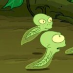 Futurama Season 11 Will Lastly Revisit Kif and Amy's Tadpoles
