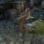 'Difficult and practical' Skyrim mod stops all of your characters changing into stealth archers with one easy trick: Immediate demise