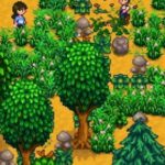 How to Get and Use Hardwood in Stardew Valley