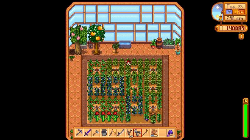 how-to-build-the-best-greenhouse-in-stardew-valley